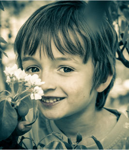 Mauro
