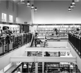 Kapitein Winokio, Standaard Boekhandel Turnhout